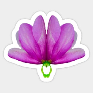 Fantasy Flower Sticker